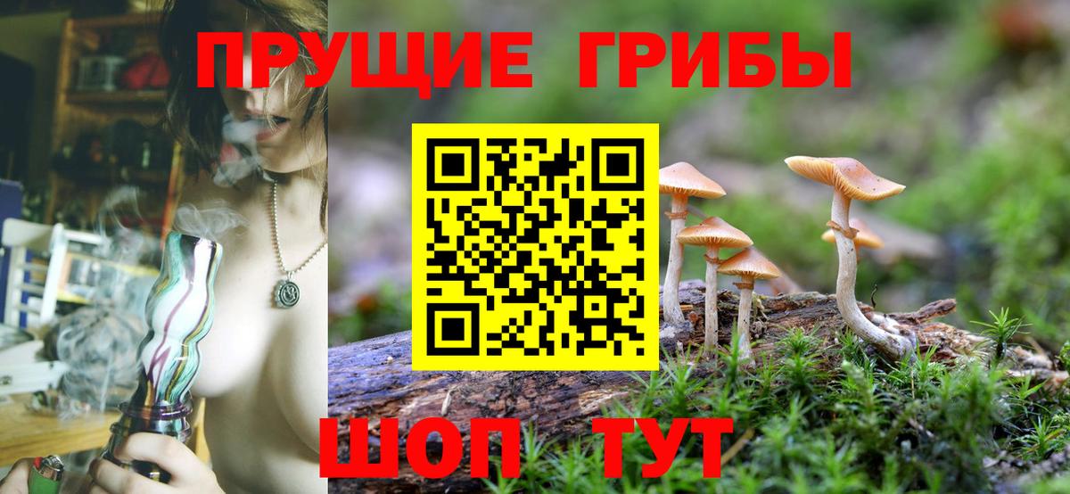 Галлюциногенные грибы Psilocybe Соликамск