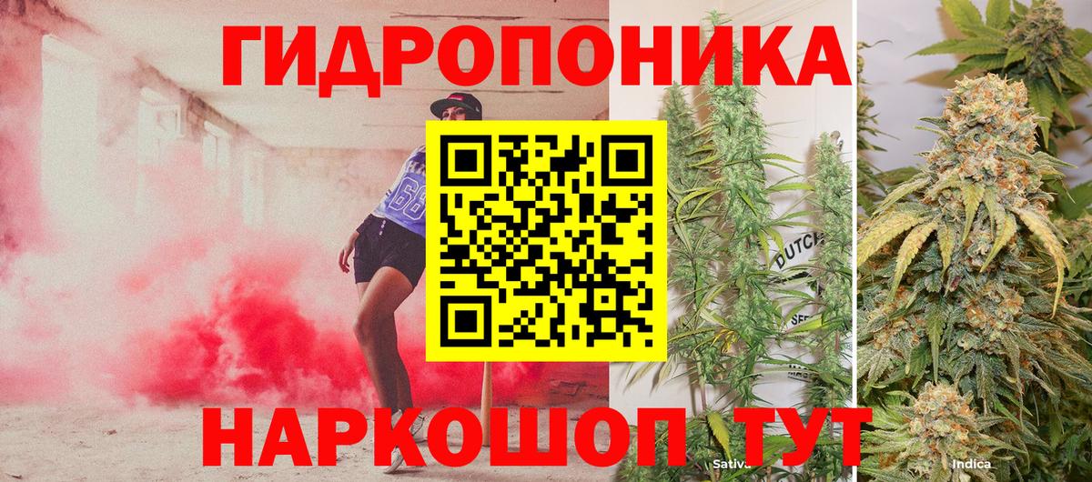 Бошки марихуана план Соликамск